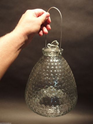Large Antique Vintage Style Clear Glass Fly Wasp Bee Hive Bottle Trap photo