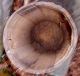Primitive Barrel Wooden Nail Keg 
