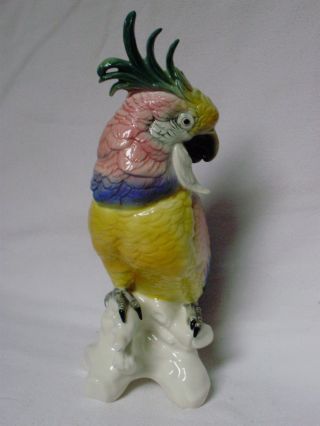 Cockatoo Bird Parrot Decoration Porcelain Figurine Ens German photo