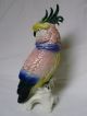 Cockatoo Bird Parrot Decoration Porcelain Figurine Ens German Figurines photo 2