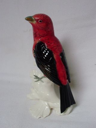 Scarlet Tanager Bird Decoration Porcelain Figurine Ens German photo