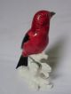 Scarlet Tanager Bird Decoration Porcelain Figurine Ens German Figurines photo 2