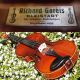 Antique Czech Violin By Richard Gareis,  Bleistadt.  Quality Tone String photo 3