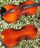 Antique Czech Violin By Richard Gareis,  Bleistadt.  Quality Tone String photo 4
