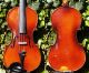 Antique Czech Violin By Richard Gareis,  Bleistadt.  Quality Tone String photo 8