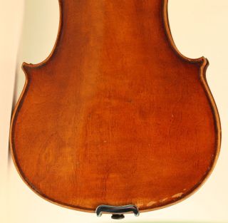 Old Fine Violin Lab.  L.  Bisiach Geige Violon Violino Violine Fiddle 1899 Italian photo