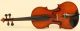 Old Fine Violin Lab.  L.  Bisiach Geige Violon Violino Violine Fiddle 1899 Italian String photo 1