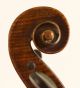 Old Masterpiece Italian Violin P.  Guarneri 1735 Geige Violon Violine Violino String photo 1