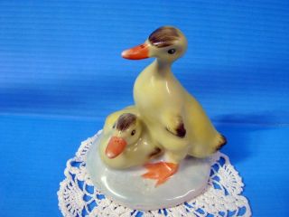 Vintage Porcelain Hungarian Aquincum Cute Duck Paar Handpainted Marked photo