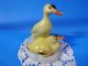 Vintage Porcelain Hungarian Aquincum Cute Duck Paar Handpainted Marked Figurines photo 3