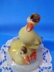 Vintage Porcelain Hungarian Aquincum Cute Duck Paar Handpainted Marked Figurines photo 4