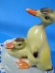 Vintage Porcelain Hungarian Aquincum Cute Duck Paar Handpainted Marked Figurines photo 5
