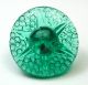 Antique Charmstring Button Green Uranium Glass Glory Mold Back Design Buttons photo 1