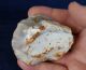 British Large Stone Age Neolithic Discoid Scraper From Dorset England Neolithic & Paleolithic photo 1