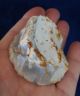 British Large Stone Age Neolithic Discoid Scraper From Dorset England Neolithic & Paleolithic photo 6