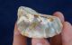 British Large Stone Age Neolithic Discoid Scraper From Dorset England Neolithic & Paleolithic photo 7