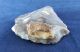 British Attractive Large Neolithic End Scraper From Dorset England Neolithic & Paleolithic photo 9