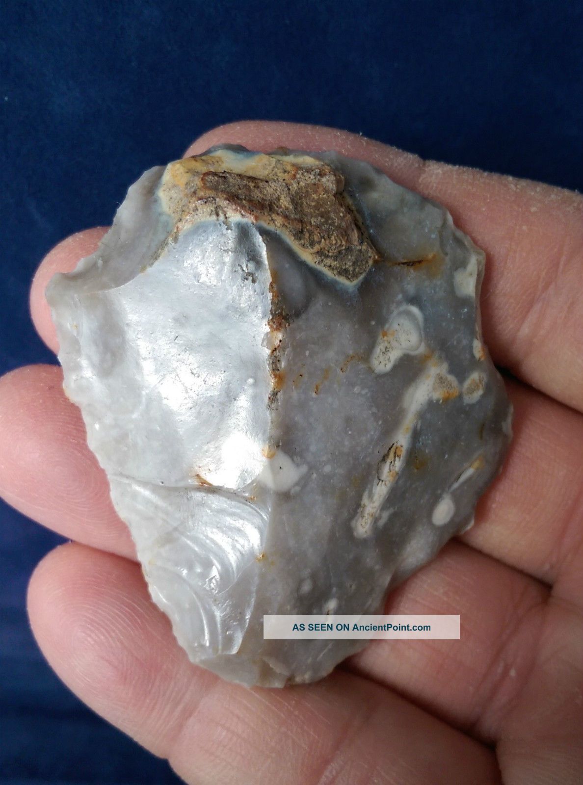 British Attractive Large Neolithic End Scraper From Dorset England Neolithic & Paleolithic photo