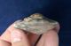 British Attractive Large Neolithic End Scraper From Dorset England Neolithic & Paleolithic photo 3