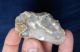 British Attractive Large Neolithic End Scraper From Dorset England Neolithic & Paleolithic photo 6