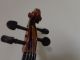 Old Antique Viola Skylark 1960 ' S String photo 3