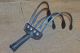 Old 5 Tine Pull Cultivator Primitive Antique Country Farm Garden Weed Tool Primitives photo 2