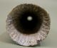 Antique Authentic Native American Indian Steatite Stone Cone Tube Pipe,  Nr The Americas photo 9