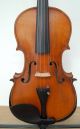 Fine Old 4/4 Fullsize Master Concert Violin From Franz Hell Elmshorn - 1930 String photo 1