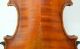 Fine Old 4/4 Fullsize Master Concert Violin From Franz Hell Elmshorn - 1930 String photo 3
