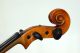 Fine Old 4/4 Fullsize Master Concert Violin From Franz Hell Elmshorn - 1930 String photo 7