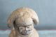 Bulu Monkey Figure Dwarf God Fired Clay Material Other African Antiques photo 7