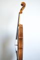 Antique Old Viola,  Alto,  Very Fine And Magnificent French Contemporary Viola String photo 9