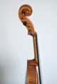 Antique Old Viola,  Alto,  Very Fine And Magnificent French Contemporary Viola String photo 11