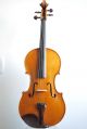 Antique Old Viola,  Alto,  Very Fine And Magnificent French Contemporary Viola String photo 3