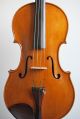 Antique Old Viola,  Alto,  Very Fine And Magnificent French Contemporary Viola String photo 4