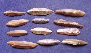12 Unifacial Blades From The Sahara Mesolithic Period photo