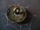 Antique Brass 