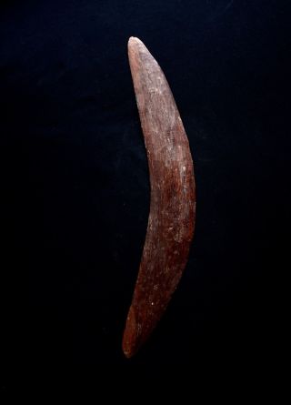Old Aboriginal Boomerang - Coastal Western Australia 1960 ' S photo