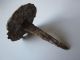 Wow - The Vast Array And Heavy - Ancient Roman Iron Nail For Crucifixion 1 - 2ad Roman photo 7