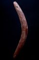 Large Old Aboriginal Fighting Boomerang - Western Desert Pacific Islands & Oceania photo 1