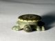 Turtle Paperweight Advertising Insurance - Los Angeles,  C.  I.  And Celluloid Other Mercantile Antiques photo 2