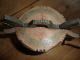 Two Old Scandinavian Tine Boxes Norway Or Sweden Dated 1900 Primitives photo 2