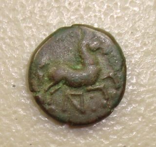 400 - 350 Bc Maroneia Horse/square Ancient Greek Bronze Ae15 photo