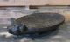 Pig Bowl Primitive/french Country Centerpiece Whimsy Farmhouse Kitchen Decor Primitives photo 4