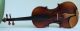 Old Fine Violin Labeled Degani 1911 Geige Violon Violino Violine Fiddle Italian String photo 4