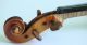 Old Fine Violin Labeled Degani 1911 Geige Violon Violino Violine Fiddle Italian String photo 5