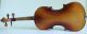 Old Fine Violin Labeled Degani 1911 Geige Violon Violino Violine Fiddle Italian String photo 6