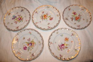 5pc Dresden Germany Porcelain Hand - Painted Plates Dishes photo