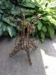 Rustic Chic Ornate Metal Scroll Plant Stand Pot Holder Table Base Antique 1930 ' S Garden photo 11