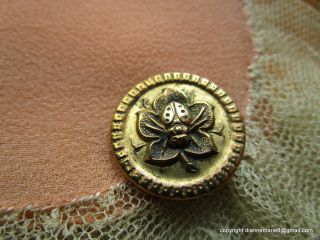 2091 – J – Insect On Leaf Motif Brass Antique Button photo